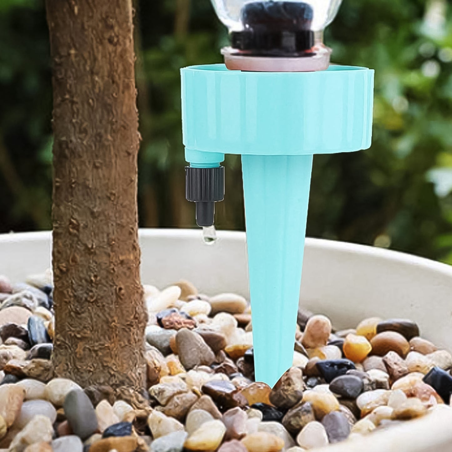 Auto Plant Watering Devices (1 Pc Mix Color)