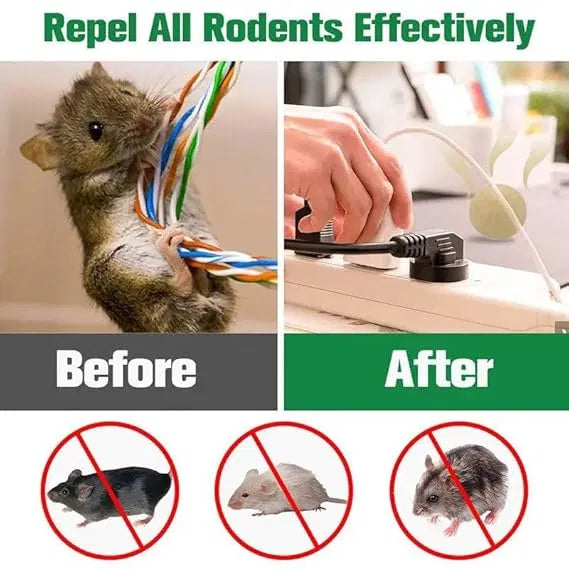 Insect Repellent Pills