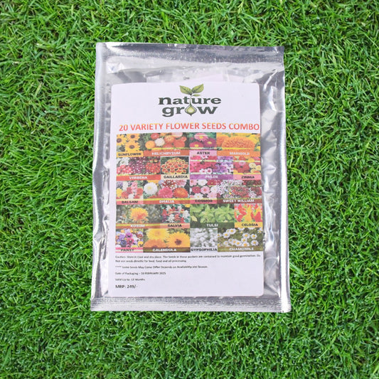 Seeds 20 Varieties Of Flower Seeds Combo (1 Pkt 20 Varieties)