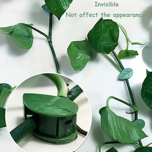 0311 Plant Climbing Wall Fixture Clip Self-adhesive Hook Vines Traction Invisible Stand Green Leaf Plant Clip Garden Wall Clip Plant Support Binding Clip Plants For Indoor Outdoor Decoration (30 Pcs Set)