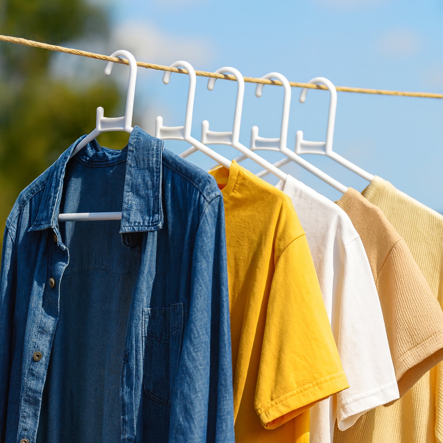 Plastic Clothes Hangers  Set Of 6