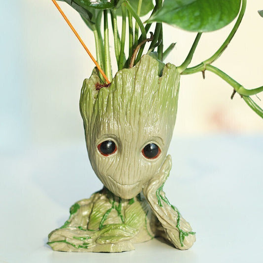 Seeds Good Luck Money Plant with Groot Vase