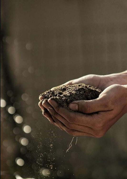 Organic Vermicompost 400gm