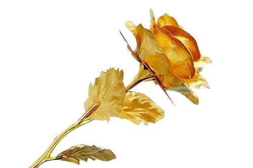 24k Artificial Golden Rose  Gold Red Rose With Gift Box (10 Inches)