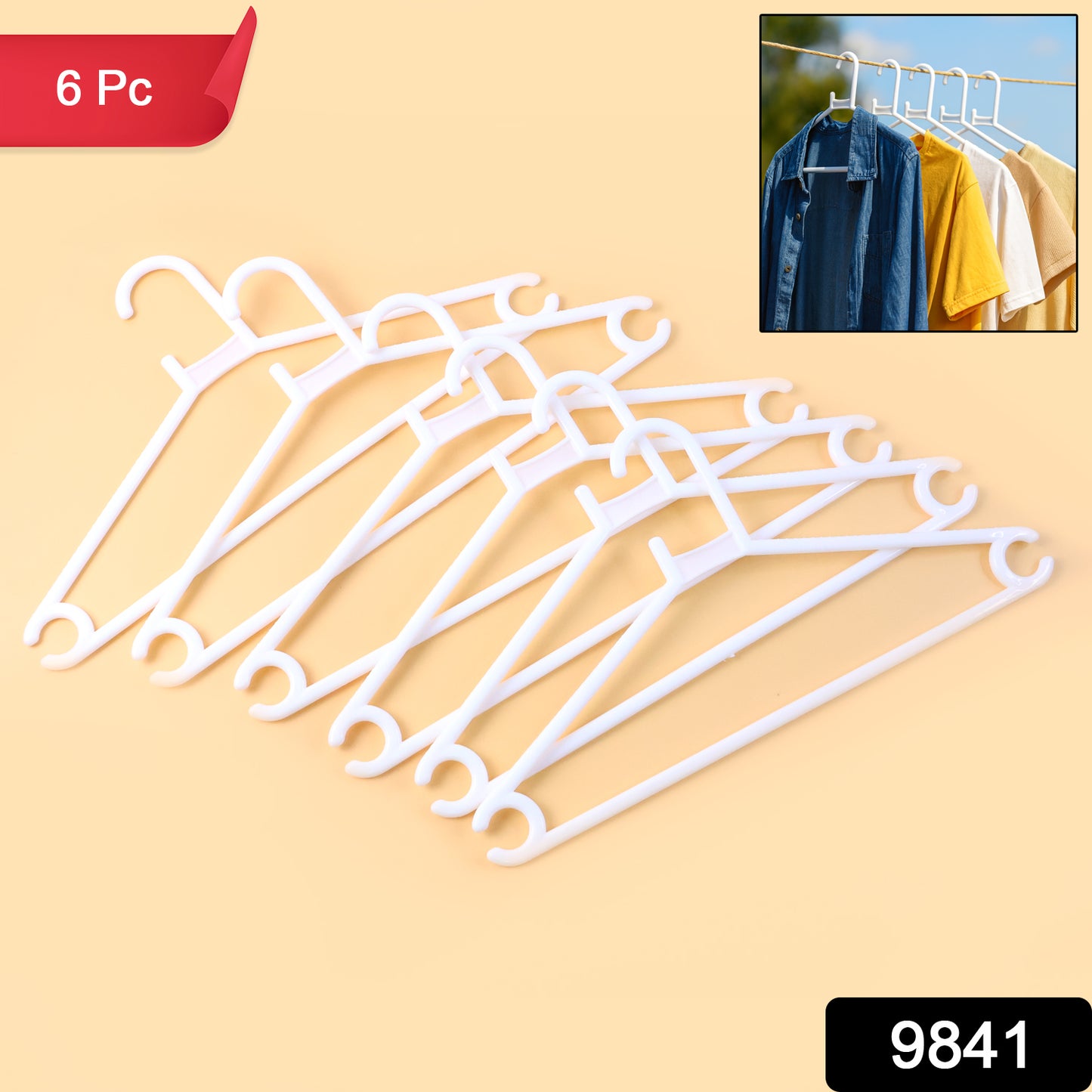 Plastic Clothes Hangers  Set Of 6