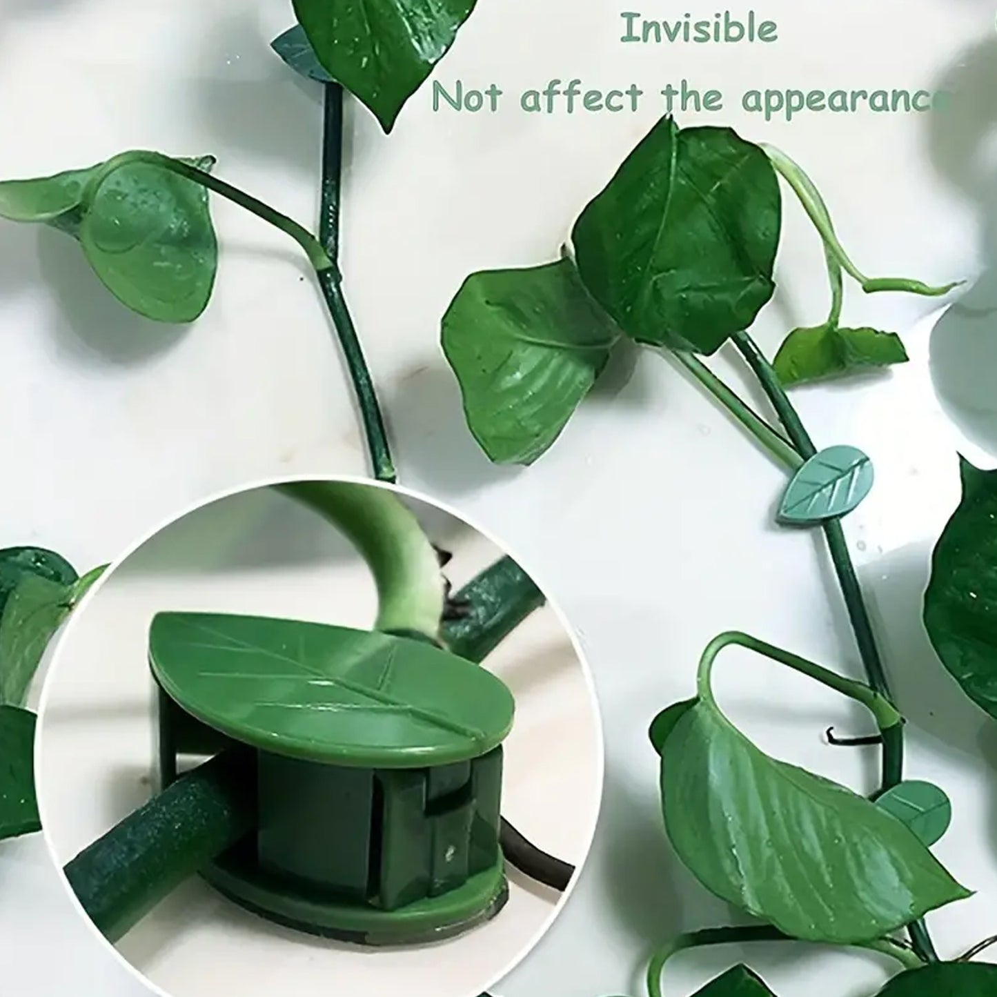 0311  Plant Climbing Wall Fixture Clip Self-adhesive Hook Vines Traction Invisible Stand Green Leaf Plant Clip Garden Wall Clip Plant Support Binding Clip Plants For Indoor Outdoor Decoration (30 Pcs Set)